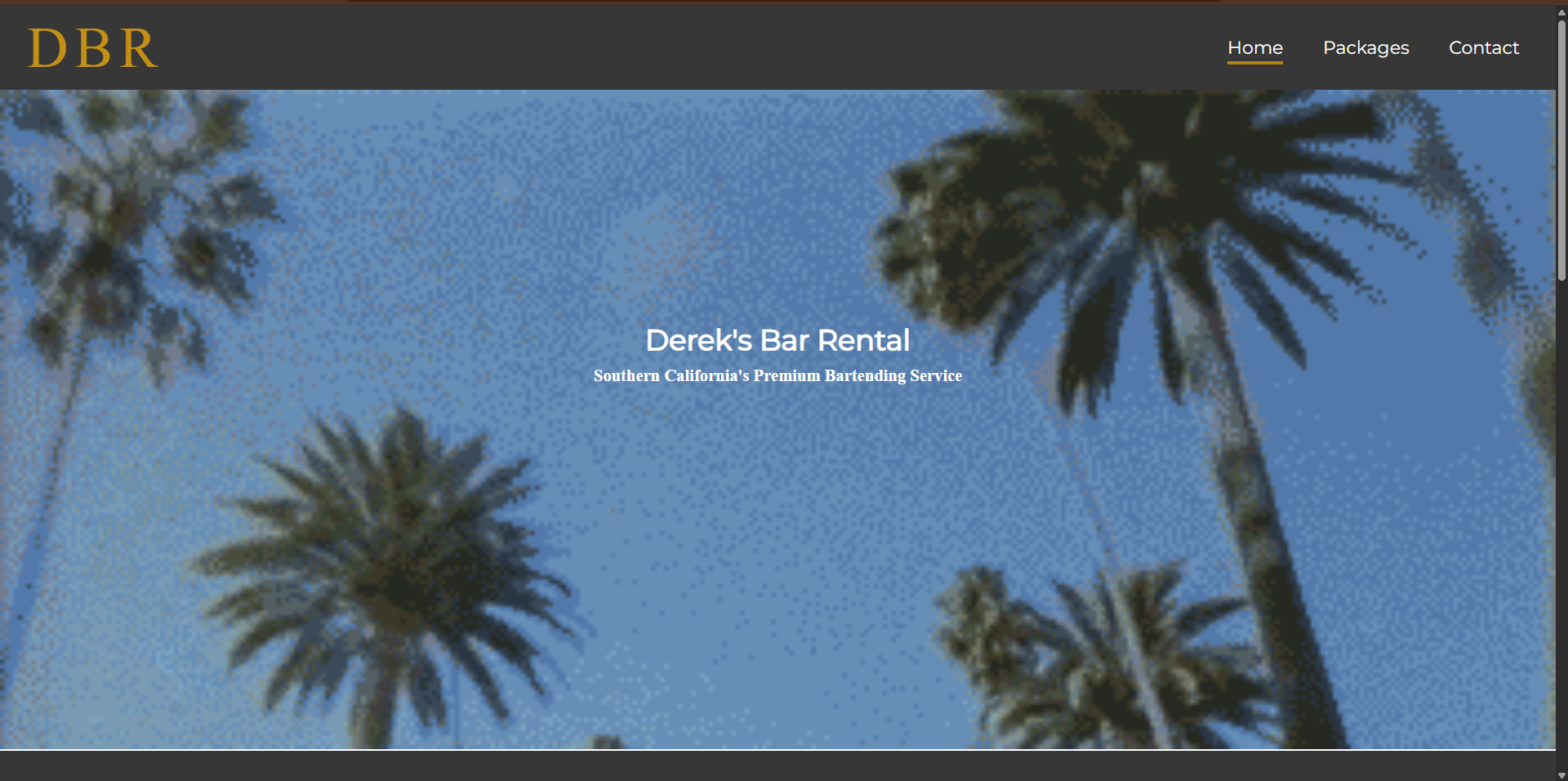 Bar Rental Website Screenshot